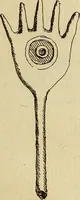Picture 60 of 260 from Recueil d'antiquités égyptiennes, étrusques, greques et romaines (1752), leaf 142