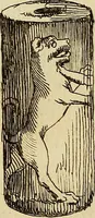 An illustration from Recueil d'antiquités égyptiennes, étrusques, greques et romaines (1752)