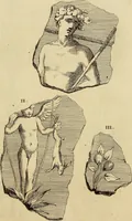 Picture 138 of 260 from Recueil d'antiquités égyptiennes, étrusques, greques et romaines (1752), leaf 522