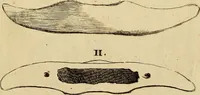 An illustration from Recueil d'antiquités égyptiennes, étrusques, greques et romaines (1752)