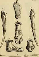 An illustration from Recueil d'antiquités égyptiennes, étrusques, greques et romaines (1752)