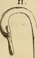 An illustration from Recueil d'antiquités égyptiennes, étrusques, greques et romaines (1752)