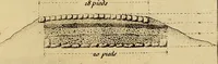An illustration from Recueil d'antiquités égyptiennes, étrusques, greques et romaines (1752)