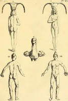 An illustration from Recueil d'antiquités égyptiennes, étrusques, greques et romaines (1752)