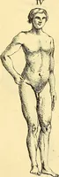 An illustration from Recueil d'antiquités égyptiennes, étrusques, greques et romaines (1752)