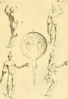 Picture 89 of 226 from Recueil d'antiquités égyptiennes, étrusques, greques et romaines (1752), leaf 252