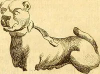 An illustration from Recueil d'antiquités égyptiennes, étrusques, greques et romaines (1752)