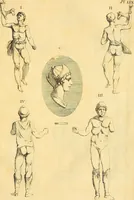 Picture 120 of 226 from Recueil d'antiquités égyptiennes, étrusques, greques et romaines (1752), leaf 330