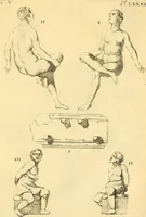 Picture 158 of 226 from Recueil d'antiquités égyptiennes, étrusques, greques et romaines (1752), leaf 464