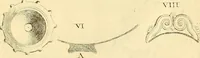 An illustration from Recueil d'antiquités égyptiennes, étrusques, greques et romaines (1752)