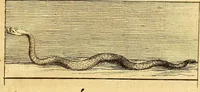 An illustration from Recueil d'antiquités égyptiennes, étrusques, greques et romaines (1752)