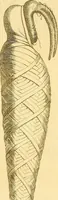 Picture 37 of 268 from Recueil d'antiquités égyptiennes, étrusques, greques et romaines (1752), leaf 122
