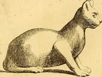 An illustration from Recueil d'antiquités égyptiennes, étrusques, greques et romaines (1752)