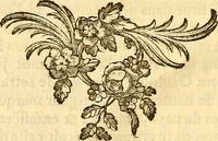 An illustration from Recueil d'antiquités égyptiennes, étrusques, greques et romaines (1752)