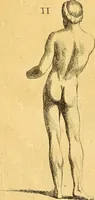 An illustration from Recueil d'antiquités égyptiennes, étrusques, greques et romaines (1752)