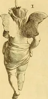 An illustration from Recueil d'antiquités égyptiennes, étrusques, greques et romaines (1752)