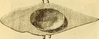 An illustration from Recueil d'antiquités égyptiennes, étrusques, greques et romaines (1752)
