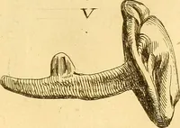 An illustration from Recueil d'antiquités égyptiennes, étrusques, greques et romaines (1752)