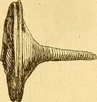An illustration from Recueil d'antiquités égyptiennes, étrusques, greques et romaines (1752)