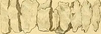 An illustration from Recueil d'antiquités égyptiennes, étrusques, greques et romaines (1752)