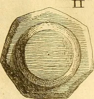 An illustration from Recueil d'antiquités égyptiennes, étrusques, greques et romaines (1752)