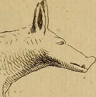 An illustration from Recueil d'antiquités égyptiennes, étrusques, greques et romaines (1752)