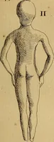 An illustration from Recueil d'antiquités égyptiennes, étrusques, greques et romaines (1752)