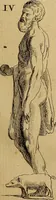 An illustration from Recueil d'antiquités égyptiennes, étrusques, greques et romaines (1752)