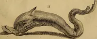 An illustration from Recueil d'antiquités égyptiennes, étrusques, greques et romaines (1752)