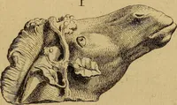 An illustration from Recueil d'antiquités égyptiennes, étrusques, greques et romaines (1752)
