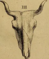 An illustration from Recueil d'antiquités égyptiennes, étrusques, greques et romaines (1752)