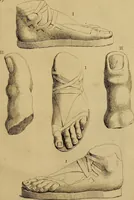 An illustration from Recueil d'antiquités égyptiennes, étrusques, greques et romaines (1752)