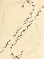Picture 6 of 70 from Recueil de danses, (1700), leaf 10