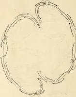 An illustration from Recueil de danses, (1700)