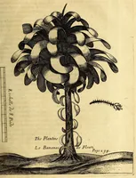 An illustration from Recueil de divers voyages faits en Afrique et en l'Amerique, qui n'on t point esté encore publiez; : contenant l'origine, les moeurs, les coûtumes & le commerce des habitans de ces deux parties du monde. : Avec des traitez curieux touchant la Haute Ethyopie, le débordement du Nil, la mer Rouge, & le Prete-Jean. : Le tout enrichi de figures, & de cartes geographiques, qui servent à l'intelligence des choses contenuës en ce volume (1674)