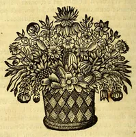 Picture 11 of 18 from Recueil de divers voyages faits en Afrique et en l'Amerique, qui n'on t point esté encore publiez; : contenant l'origine, les moeurs, les coûtumes & le commerce des habitans de ces deux parties du monde. : Avec des traitez curieux touchant la Haute Ethyopie, le débordement du Nil, la mer Rouge, & le Prete-Jean. : Le tout enrichi de figures, & de cartes geographiques, qui servent à l'intelligence des choses contenuës en ce volume (1674), leaf 332