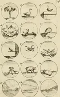 Picture 56 of 243 from Recueil d'emblêmes, devises, medailles, et figures hieroglyphiques, au nombre de plus de douze cent, avec leurs explications : accompagné de plus de deux mille chiffres fleuronnez simples, doubles & triples ... : cet ouvrage qui est enrichy de deux cens cinquante planches en taille-douce, est très-utile aux graveurs, peintres, sculpteurs, orfevres, brodeurs, serruriers & à tous ceux qui travaillent au dessein (1724), leaf 118