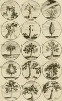 An illustration from Recueil d'emblêmes, devises, medailles, et figures hieroglyphiques, au nombre de plus de douze cent, avec leurs explications : accompagné de plus de deux mille chiffres fleuronnez simples, doubles & triples ... : cet ouvrage qui est enrichy de deux cens cinquante planches en taille-douce, est très-utile aux graveurs, peintres, sculpteurs, orfevres, brodeurs, serruriers & à tous ceux qui travaillent au dessein (1724)