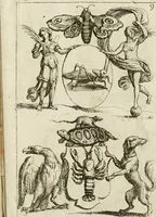 An illustration from Recueil d'emblêmes, devises, medailles, et figures hieroglyphiques, au nombre de plus de douze cent, avec leurs explications : accompagné de plus de deux mille chiffres fleuronnez simples, doubles & triples ... : cet ouvrage qui est enrichy de deux cens cinquante planches en taille-douce, est très-utile aux graveurs, peintres, sculpteurs, orfevres, brodeurs, serruriers & à tous ceux qui travaillent au dessein (1724)