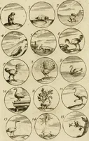 Picture 22 of 243 from Recueil d'emblêmes, devises, medailles, et figures hieroglyphiques, au nombre de plus de douze cent, avec leurs explications : accompagné de plus de deux mille chiffres fleuronnez simples, doubles & triples ... : cet ouvrage qui est enrichy de deux cens cinquante planches en taille-douce, est très-utile aux graveurs, peintres, sculpteurs, orfevres, brodeurs, serruriers & à tous ceux qui travaillent au dessein (1724), leaf 50