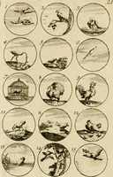 An illustration from Recueil d'emblêmes, devises, medailles, et figures hieroglyphiques, au nombre de plus de douze cent, avec leurs explications : accompagné de plus de deux mille chiffres fleuronnez simples, doubles & triples ... : cet ouvrage qui est enrichy de deux cens cinquante planches en taille-douce, est très-utile aux graveurs, peintres, sculpteurs, orfevres, brodeurs, serruriers & à tous ceux qui travaillent au dessein (1724)