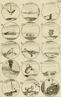 Picture 36 of 243 from Recueil d'emblêmes, devises, medailles, et figures hieroglyphiques, au nombre de plus de douze cent, avec leurs explications : accompagné de plus de deux mille chiffres fleuronnez simples, doubles & triples ... : cet ouvrage qui est enrichy de deux cens cinquante planches en taille-douce, est très-utile aux graveurs, peintres, sculpteurs, orfevres, brodeurs, serruriers & à tous ceux qui travaillent au dessein (1724), leaf 78