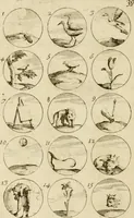 Picture 41 of 243 from Recueil d'emblêmes, devises, medailles, et figures hieroglyphiques, au nombre de plus de douze cent, avec leurs explications : accompagné de plus de deux mille chiffres fleuronnez simples, doubles & triples ... : cet ouvrage qui est enrichy de deux cens cinquante planches en taille-douce, est très-utile aux graveurs, peintres, sculpteurs, orfevres, brodeurs, serruriers & à tous ceux qui travaillent au dessein (1724), leaf 87