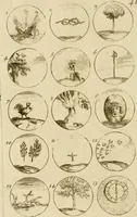 An illustration from Recueil d'emblêmes, devises, medailles, et figures hieroglyphiques, au nombre de plus de douze cent, avec leurs explications : accompagné de plus de deux mille chiffres fleuronnez simples, doubles & triples ... : cet ouvrage qui est enrichy de deux cens cinquante planches en taille-douce, est très-utile aux graveurs, peintres, sculpteurs, orfevres, brodeurs, serruriers & à tous ceux qui travaillent au dessein (1724)