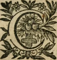 An illustration from Recueil d'emblemes diuers : auec des discours moraux, philosophiques, et politiques, tirez de diuers autheurs, anciens & modernes (1638)