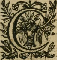 An illustration from Recueil d'emblemes diuers : auec des discours moraux, philosophiques, et politiques, tirez de diuers autheurs, anciens & modernes (1638)