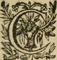 An illustration from Recueil d'emblemes diuers : auec des discours moraux, philosophiques, et politiques, tirez de diuers autheurs, anciens & modernes (1638)