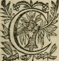 An illustration from Recueil d'emblemes diuers : auec des discours moraux, philosophiques, et politiques, tirez de diuers autheurs, anciens & modernes (1638)