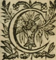 An illustration from Recueil d'emblemes diuers : auec des discours moraux, philosophiques, et politiques, tirez de diuers autheurs, anciens & modernes (1638)