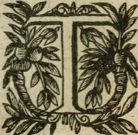 An illustration from Recueil d'emblemes diuers : auec des discours moraux, philosophiques, et politiques, tirez de diuers autheurs, anciens & modernes (1638)